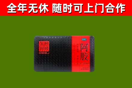 达日县回收阿胶